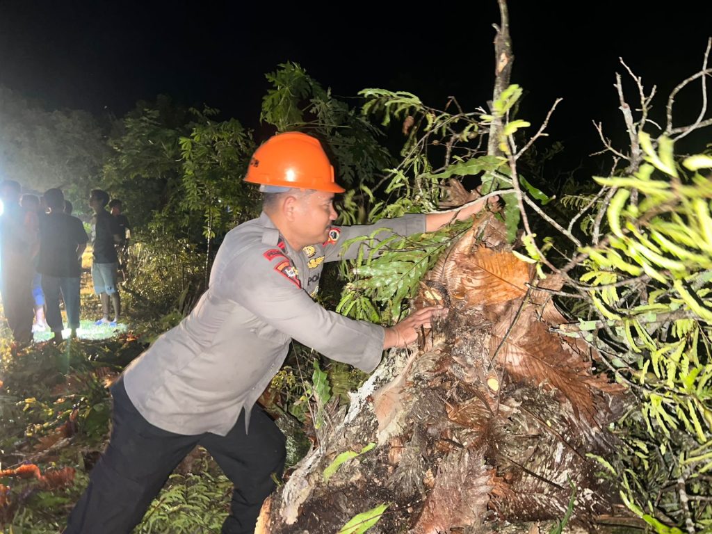 Macetkan Arus Lalulintas, SAR Yon C Brimobda Sulsel Evakuasi Pohon Tumbang di Poros Bone-Sinjai
