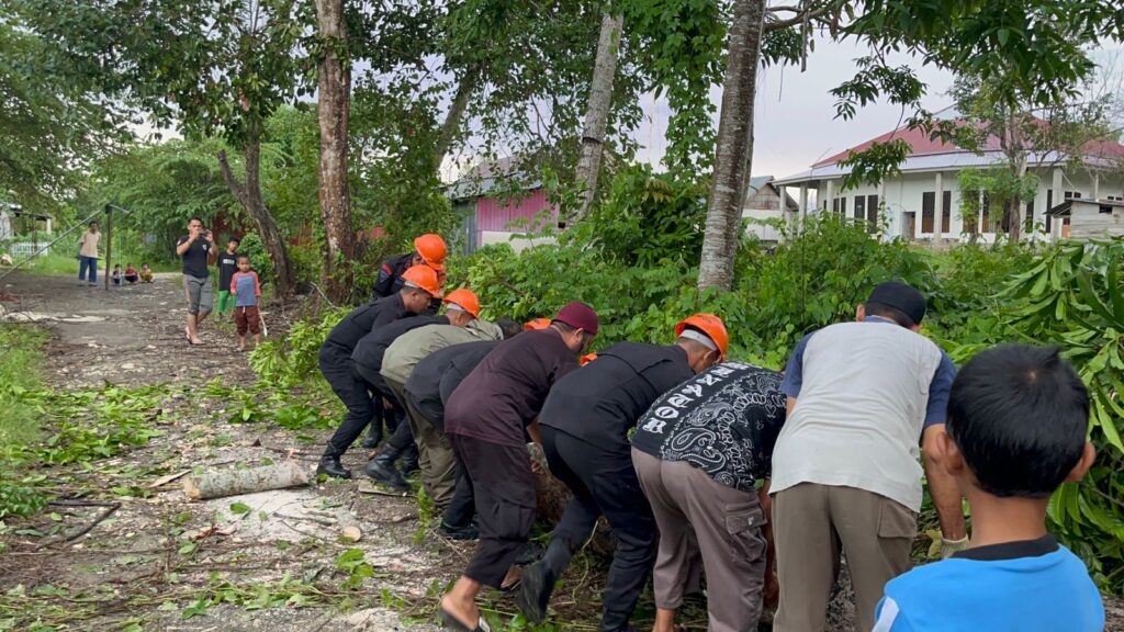 Ada Pohon Timbang Ganggu Arus Lalulintas Di Jalan Poros Cempalagi dan Jalan Gunung Kinabalu Bone. SAR Yon C Brimobda Sulsel Lakukan Evakuasi