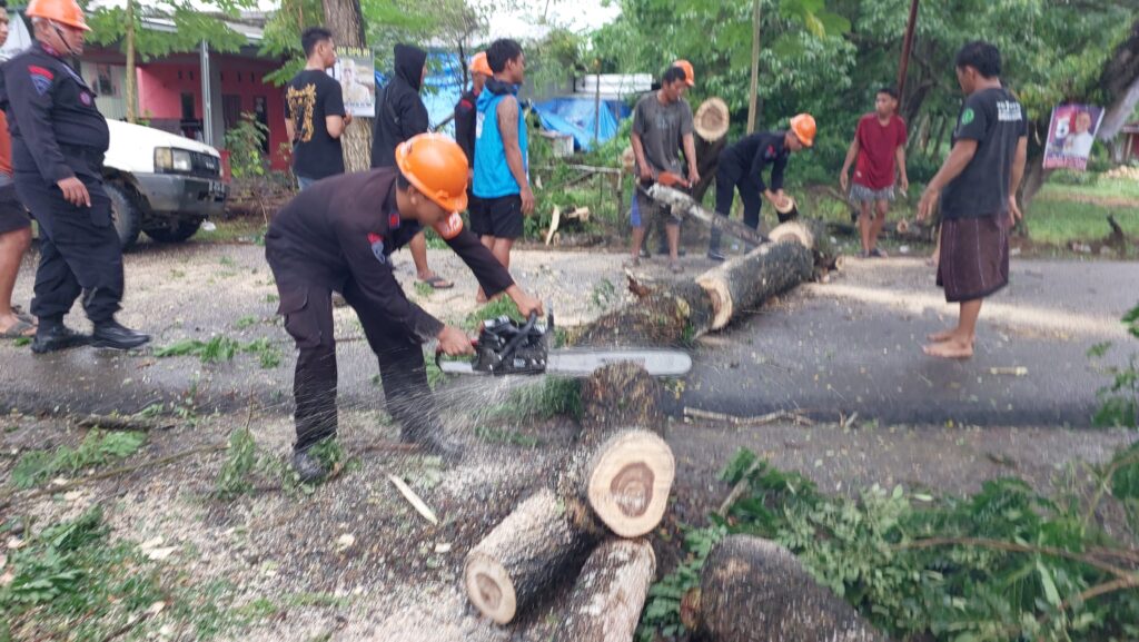 Lagi, SAR Yon C Brimobda Sulsel Evakuasi Pohon Tumbang Bikin Macet
