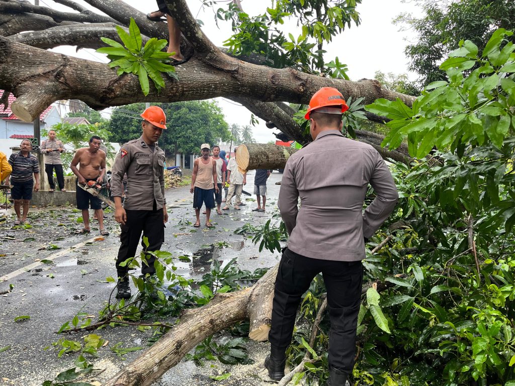 Pohon Tumbang di Poros Bone-Wajo Ganggu Arus Lalulintas. Ini yang Dilakukan SAR Brimob Bone!!