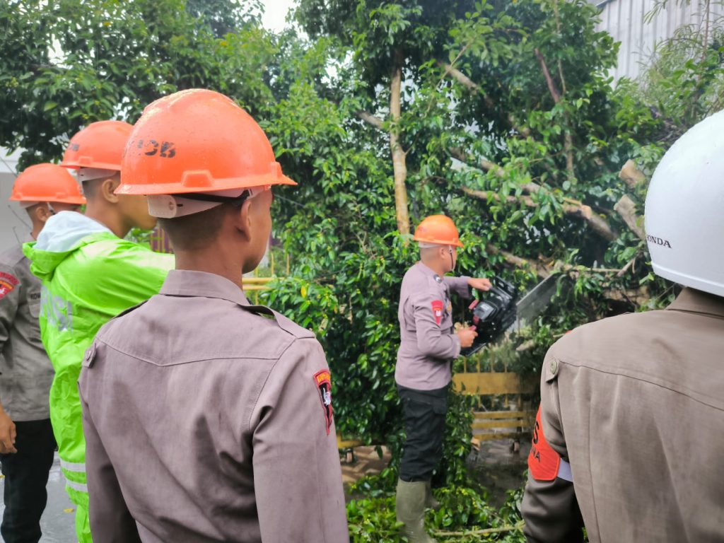 Pohon Tumbang Ganggu Arus Lalulintas di Poros Bone-Wajo. Ini Reaksi SAR Yon C Pelopor Brimobda Sulsel