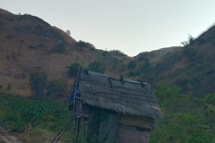 Masyarakat Adat Desak Kejari Usut Dugaan Mafia Tanah di Lingko Lasi